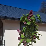 Sunnyside Apartments, Pale, Ravna Planina, 4 Kuce, 16 Osoba