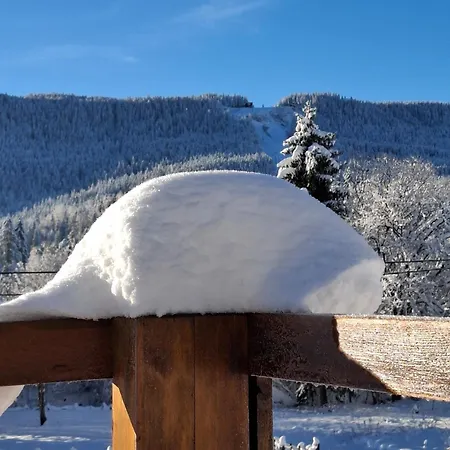 Sunnyside Apartments, Pale, Ravna Planina, 4 Kuce, 16 Osoba Pale