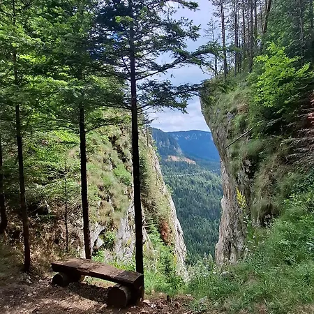 Feriehus Sunnyside Apartments, Pale, Ravna Planina, 4 Kuce, 16 Osoba Pale